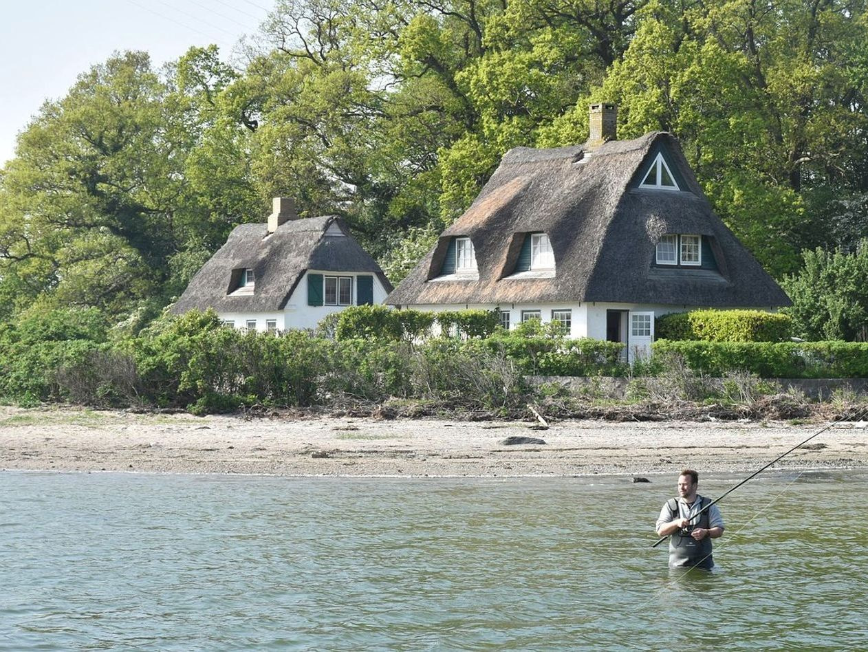 Open shoreline above the tree line